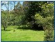 Springbrook QLD 4213
