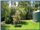 Springbrook QLD 4213