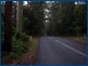 Springbrook QLD 4213