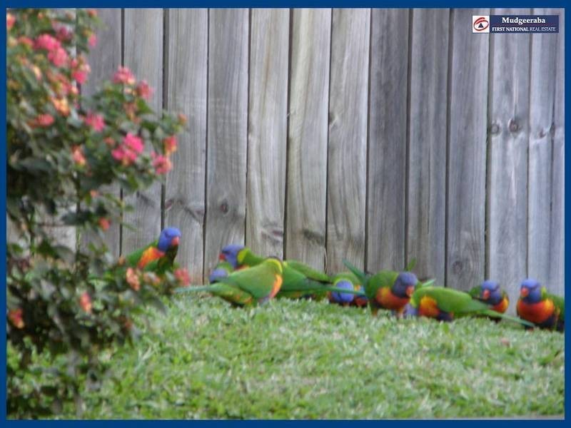 4/46 Woodland Drive, Reedy Creek QLD 4227