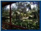 17.. Forestry Road, Springbrook QLD 4213