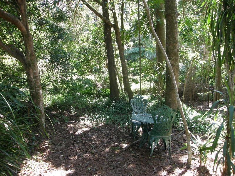 2295 Springbrook Road, Springbrook QLD 4213