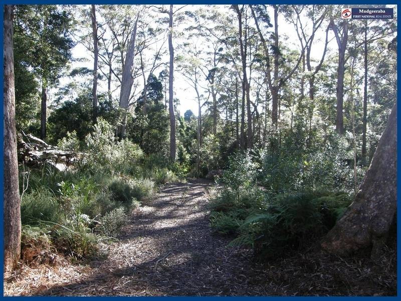 23 Banksia Road, Springbrook QLD 4213