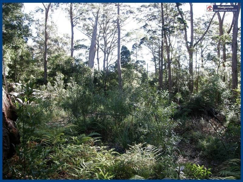 23 Banksia Road, Springbrook QLD 4213