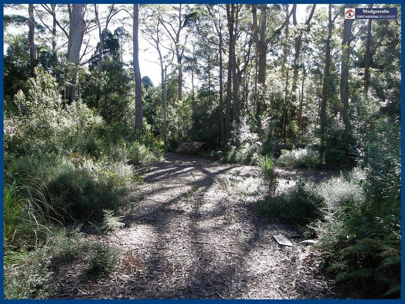 23 Banksia Road, Springbrook QLD 4213