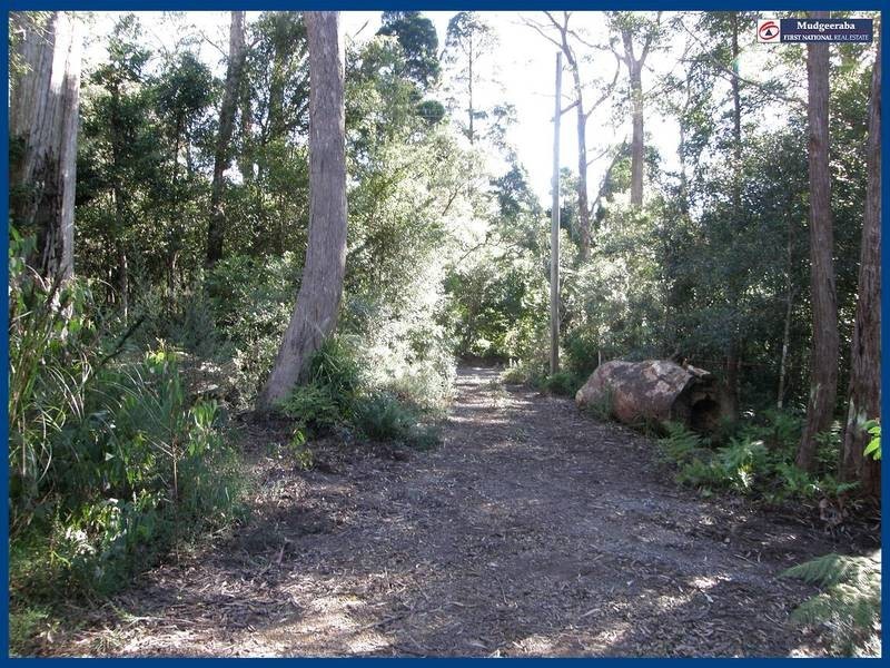 23 Banksia Road, Springbrook QLD 4213