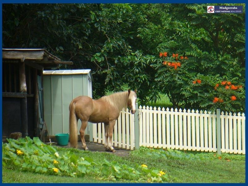 26 Charles Kurz, Worongary QLD 4213