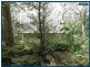 1 Boy-ull Road, Springbrook QLD 4213