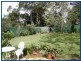 Springbrook QLD 4213