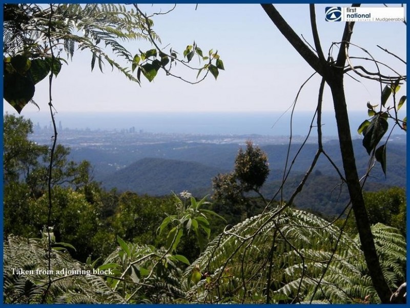 263 Repeater Station Road, Springbrook QLD 4213
