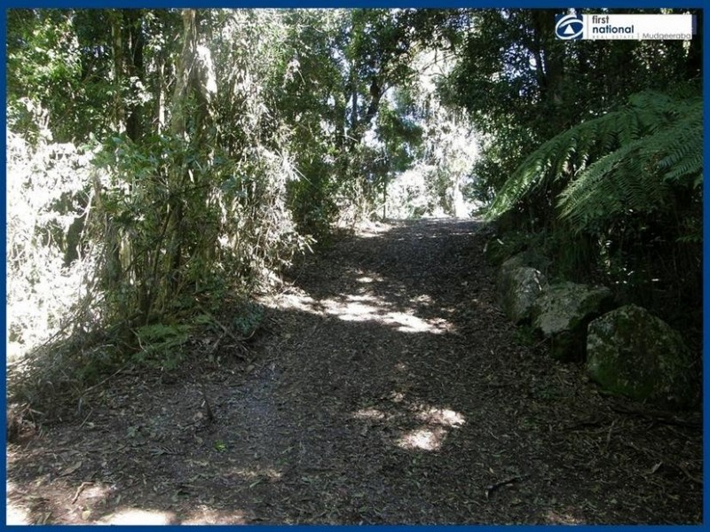 263 Repeater Station Road, Springbrook QLD 4213