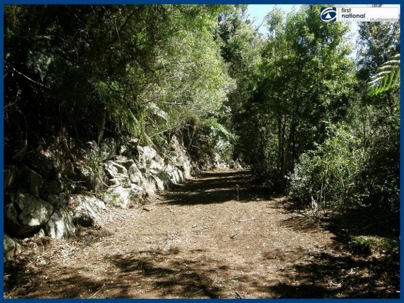 263 Repeater Station Road, Springbrook QLD 4213