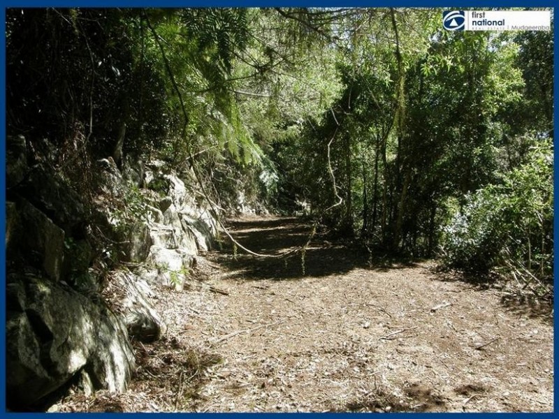 263 Repeater Station Road, Springbrook QLD 4213