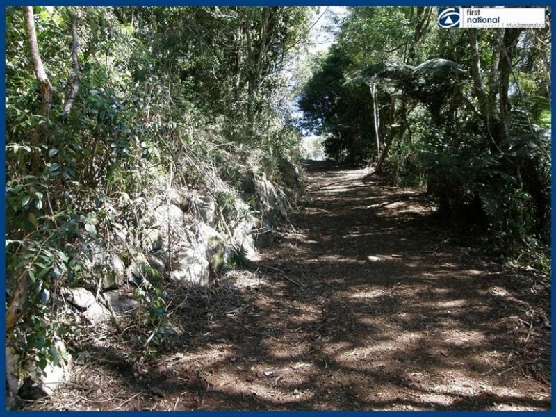 263 Repeater Station Road, Springbrook QLD 4213