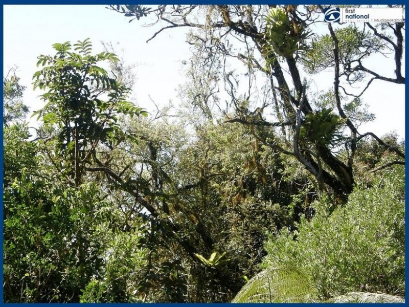 263 Repeater Station Road, Springbrook QLD 4213