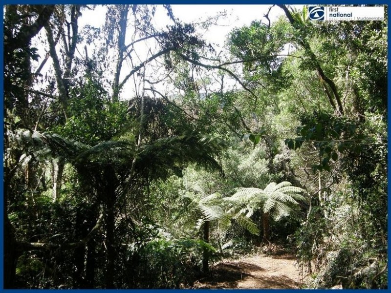 263 Repeater Station Road, Springbrook QLD 4213