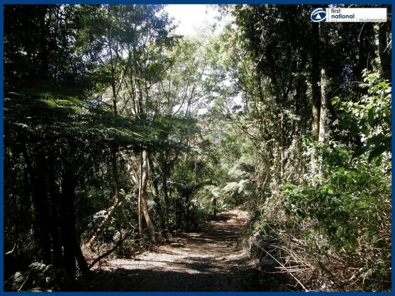 263 Repeater Station Road, Springbrook QLD 4213