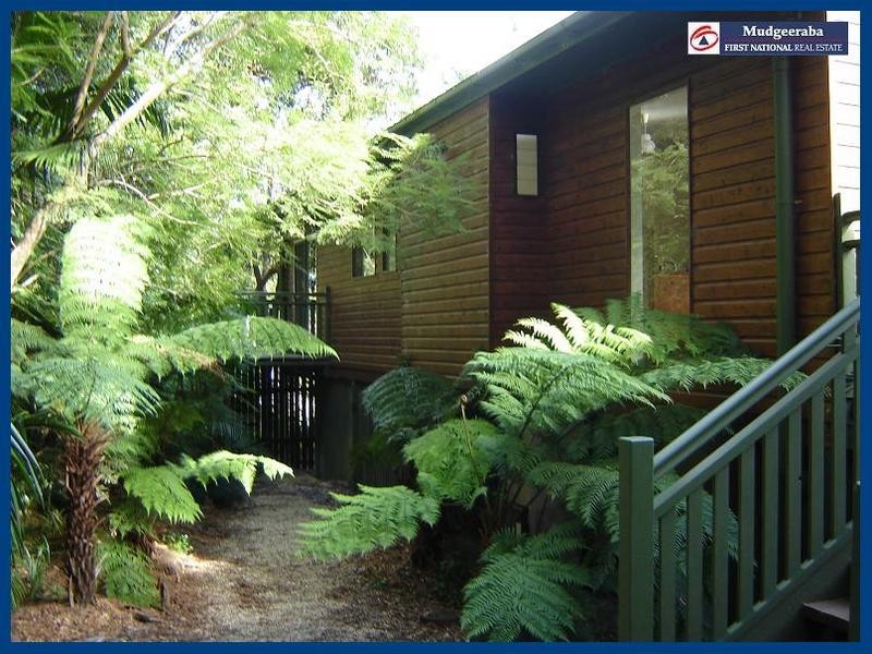 Springbrook QLD 4213