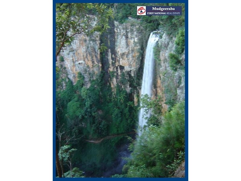 Springbrook QLD 4213