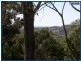6 Orange Court, Mudgeeraba QLD 4213