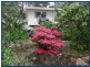 Springbrook QLD 4213