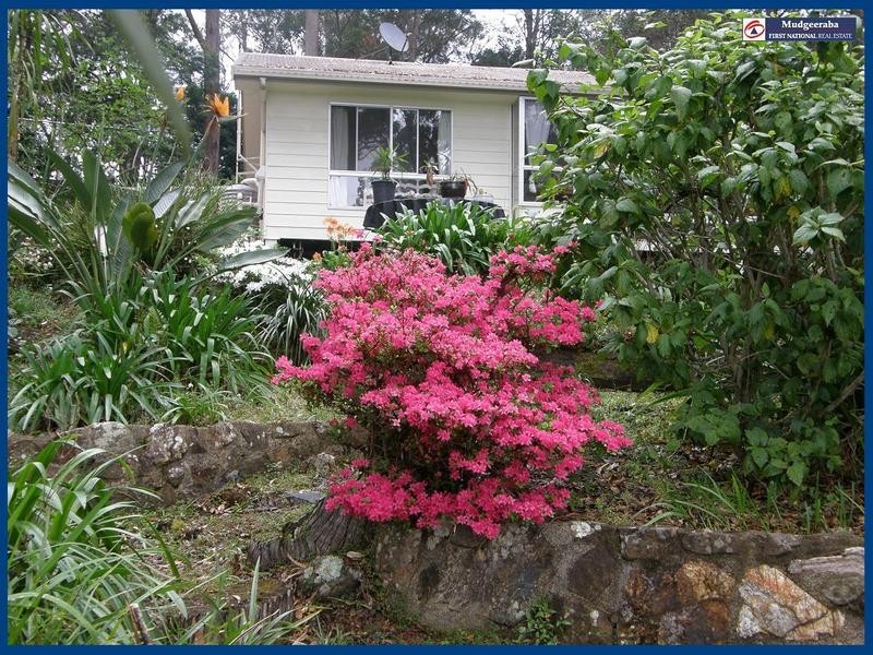 Springbrook QLD 4213