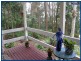 Springbrook QLD 4213