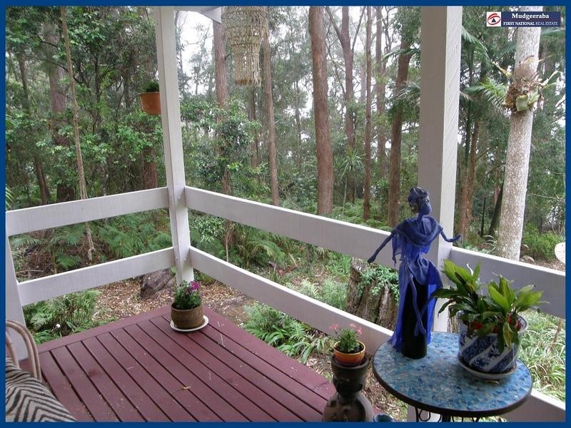 Springbrook QLD 4213
