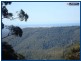 Springbrook QLD 4213