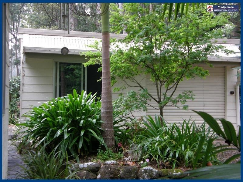 Springbrook QLD 4213