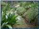 Springbrook QLD 4213