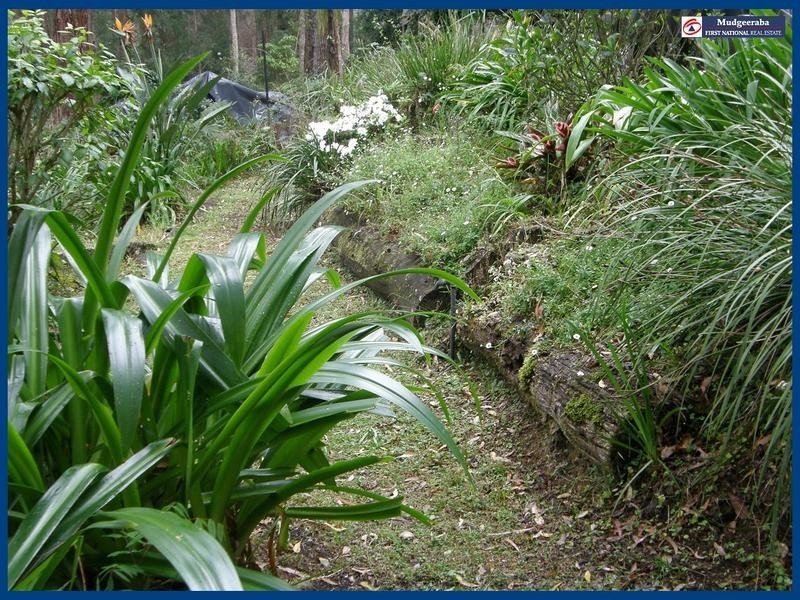 Springbrook QLD 4213