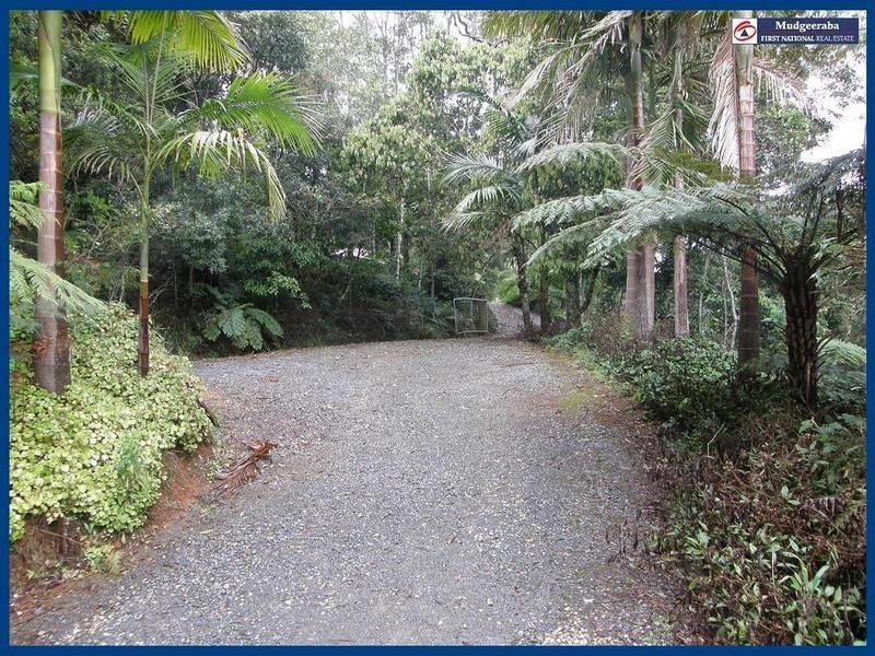 Springbrook QLD 4213