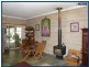 Springbrook QLD 4213