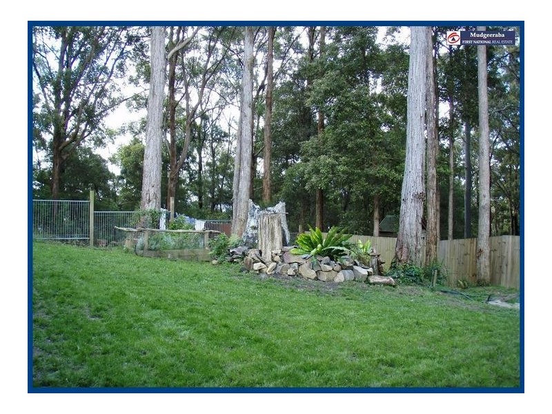 2126 Springbrook Road, Springbrook QLD 4213