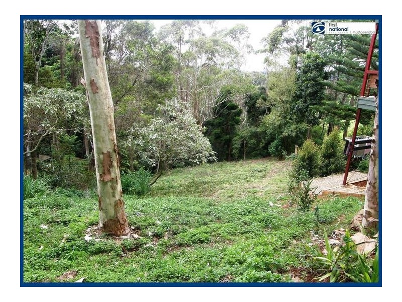 53 Lyrebird Ridge Road, Springbrook QLD 4213