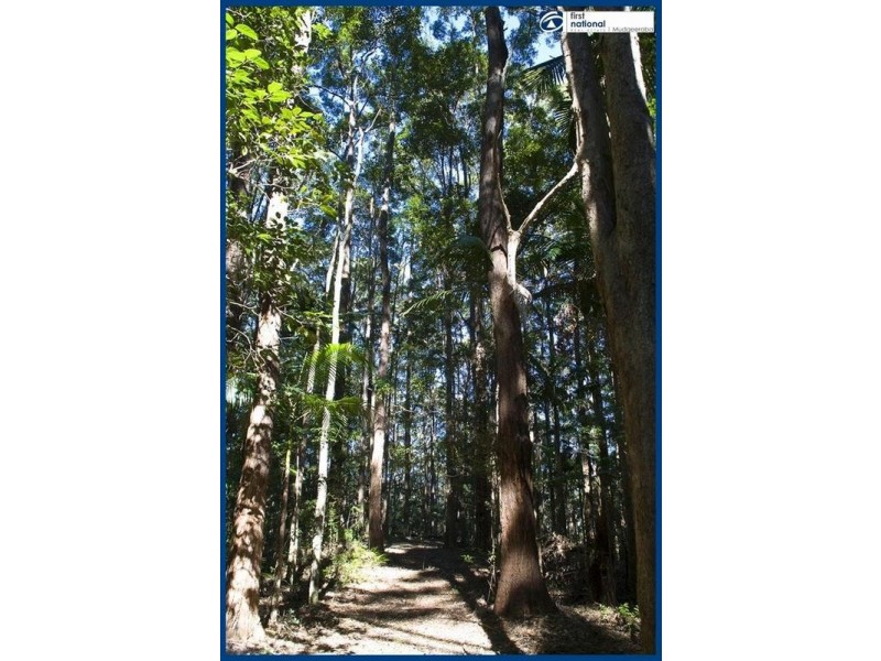 1542 Currumbin Creek Road, Currumbin QLD 4223