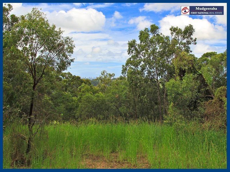 38a Glenrowan Drive, Tallai QLD 4213
