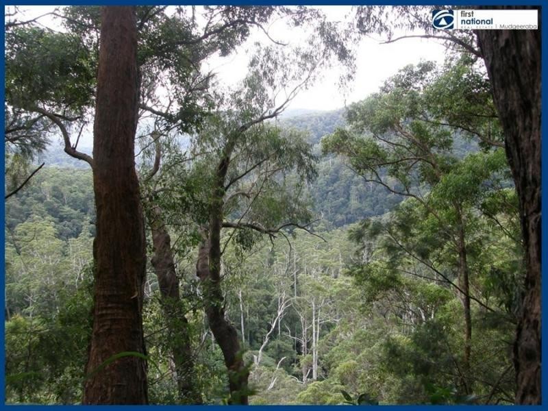 13 Mimosa Road, Springbrook QLD 4213