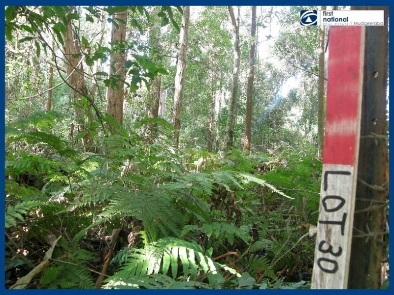 21 Gwongorella Parade, Springbrook QLD 4213