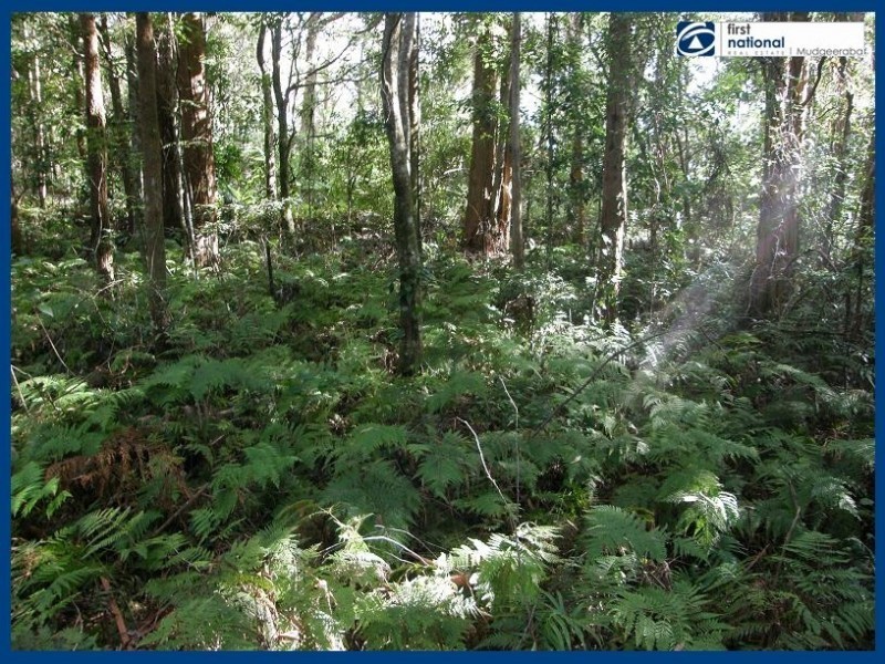 21 Gwongorella Parade, Springbrook QLD 4213