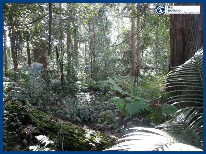 21 Gwongorella Parade, Springbrook QLD 4213