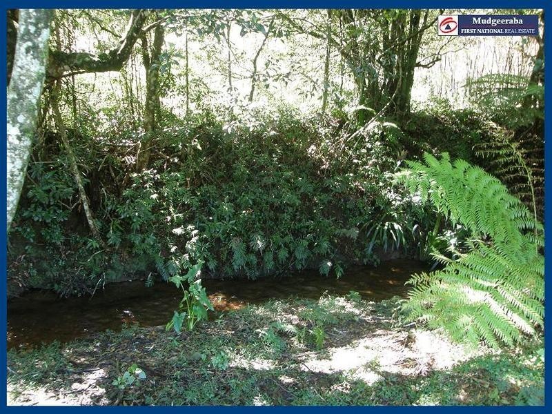 Springbrook QLD 4213