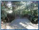 Springbrook QLD 4213