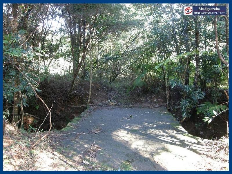 Springbrook QLD 4213