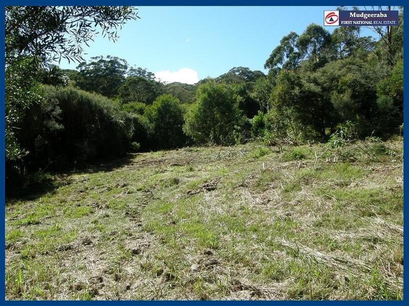 Springbrook QLD 4213