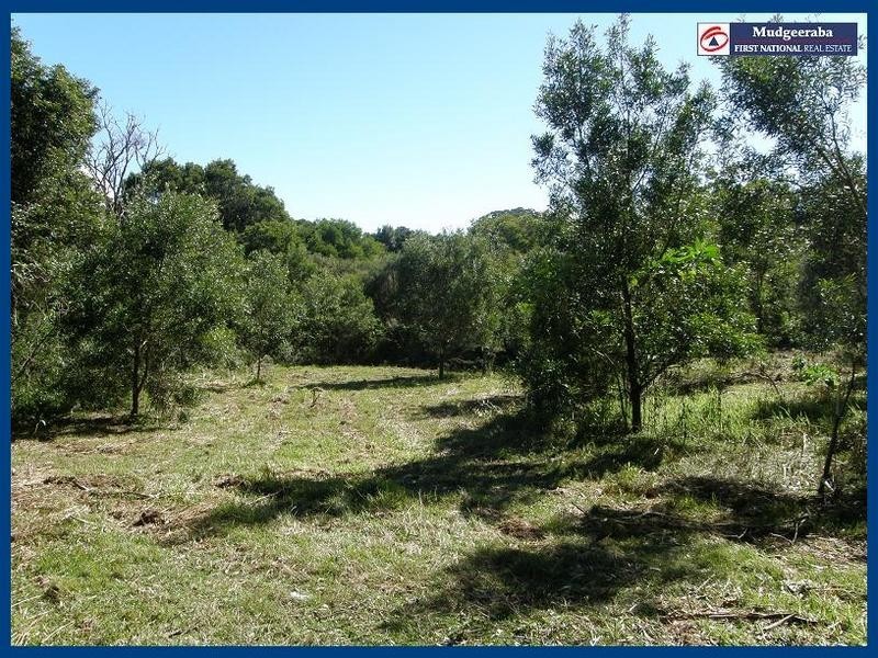 Springbrook QLD 4213