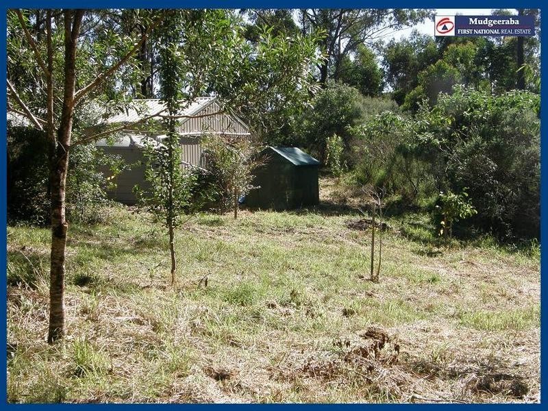 Springbrook QLD 4213