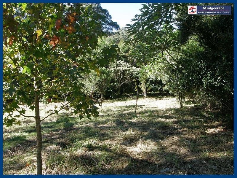Springbrook QLD 4213