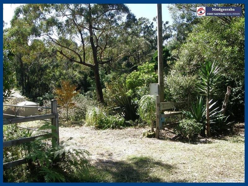 Springbrook QLD 4213